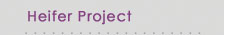 Heifer Project